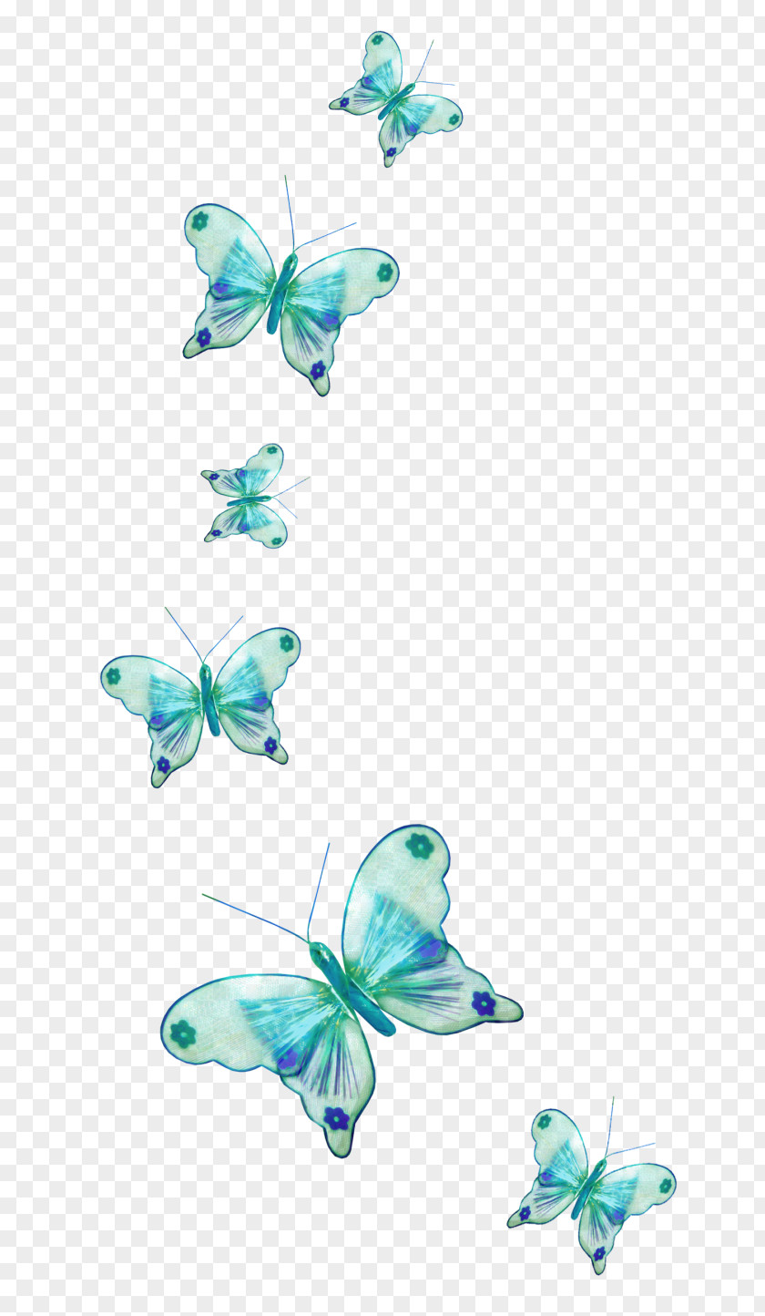 Butterfly Desktop Wallpaper 1080p Display Resolution PNG