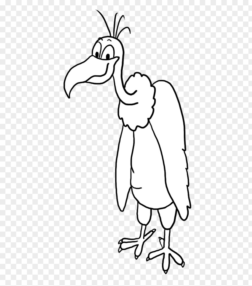 Drawing Hair Vulture Water Bird Chicken Galliformes PNG