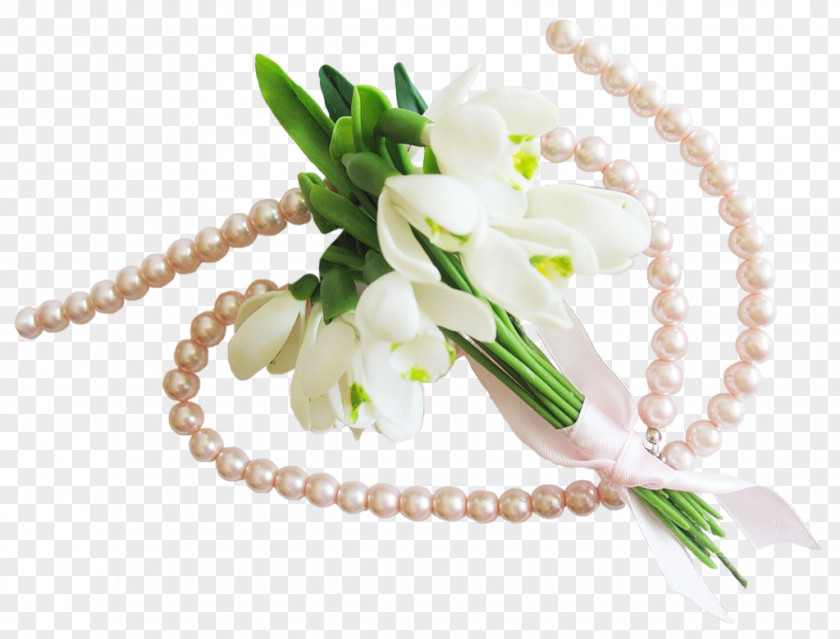 Flower Cut Flowers Lilium Tulip PNG