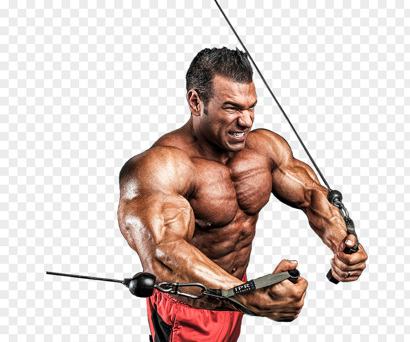 Steve Weingarten Private Fitness Coach Kuclo Athlete NPC UNIVERSE Championship Physical PNG