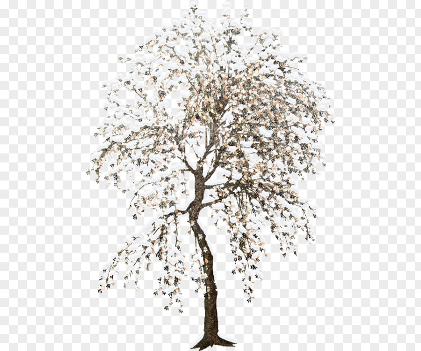 Tree Microsoft Paint Clip Art PNG