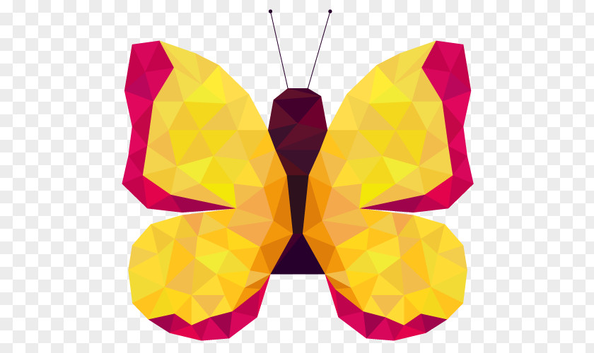 Vector Butterfly Paper PNG