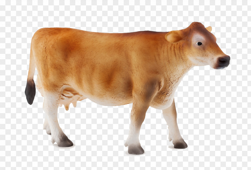 Bull Dairy Cow Bovine Animal Figure Calf Cow-goat Family Livestock PNG