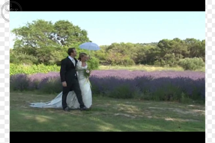 European Tourist City Landscape Elements Wedding Bridegroom Groomsman Ceremony First Dance PNG