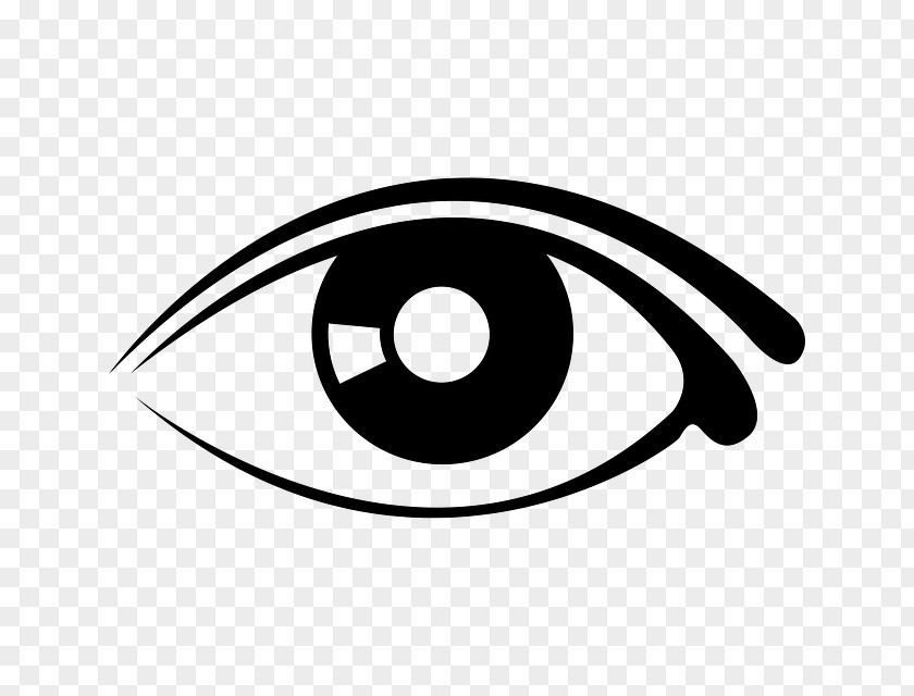 Eye Look At Eyes Googly Clip Art PNG