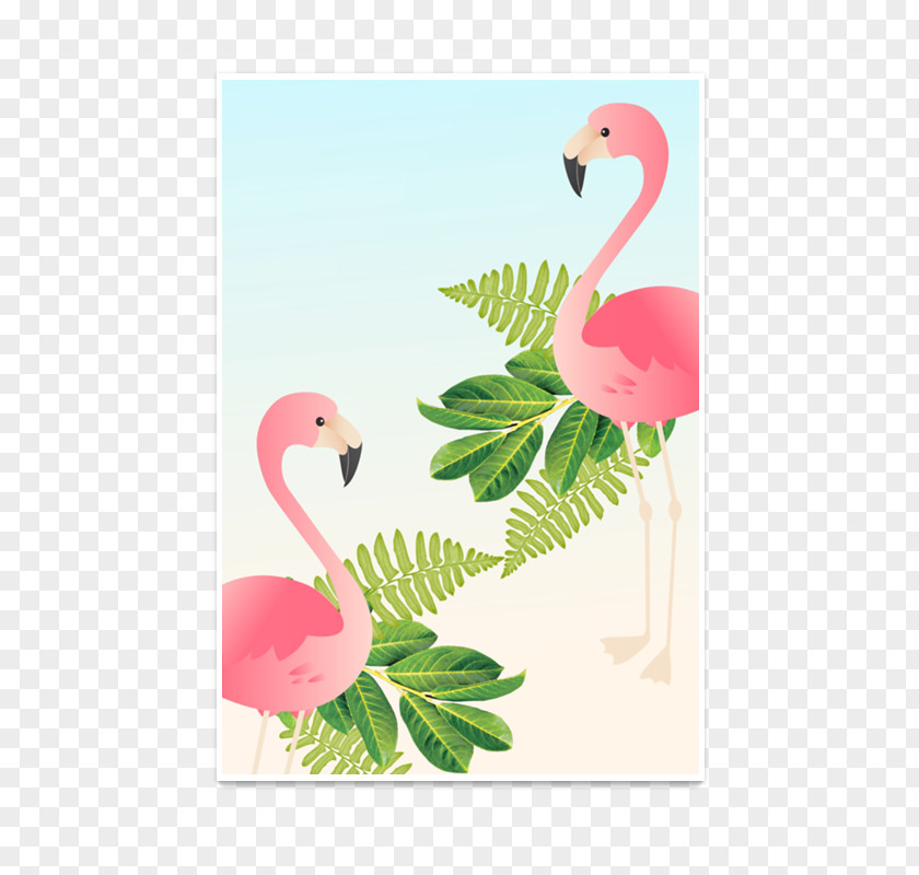 Folhagem Flamingos Picture Frames Paper Decorative Arts Poster PNG