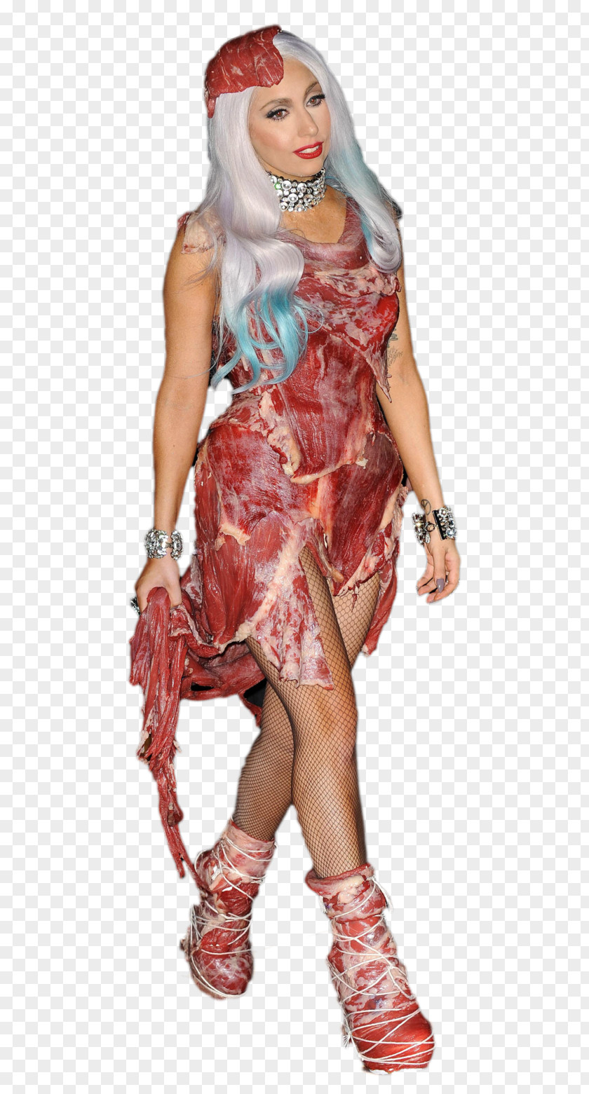 Lady Gaga's Meat Dress Flesh Costume PNG meat dress Costume, clipart PNG