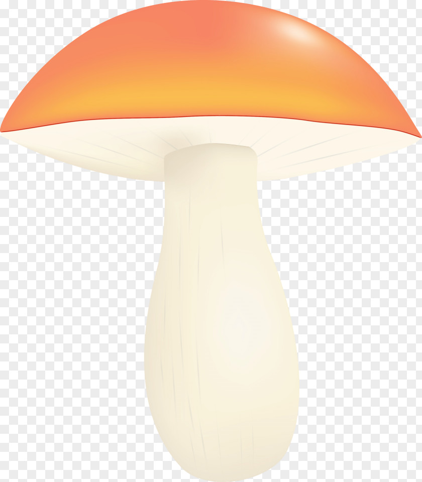 Orange PNG