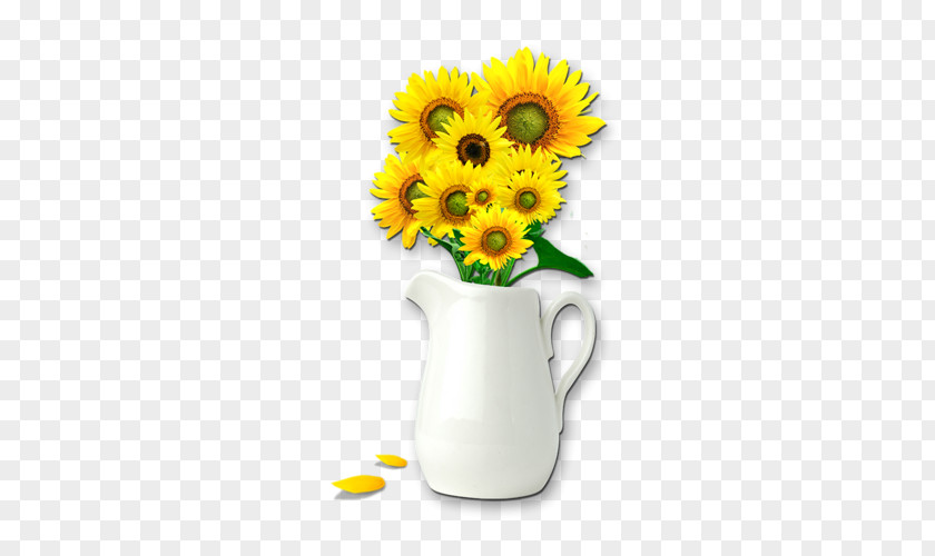 Sunflowers Common Sunflower Vase PNG