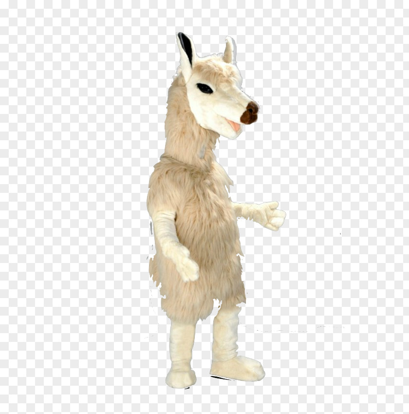 Alpacas Alpaca Llama Mascot Guanaco Costume PNG