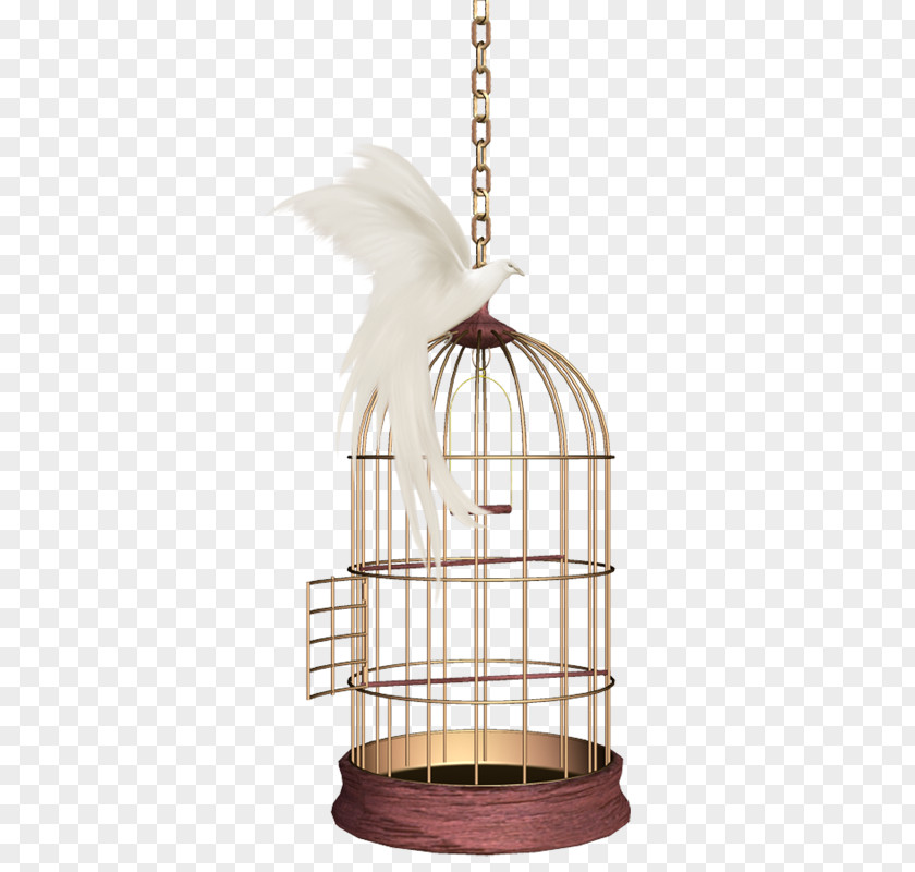 Bird Birdcage Parrot Domestic Canary PNG