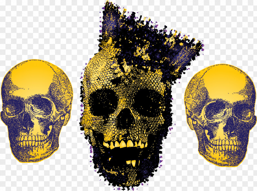 Creative Skeleton Skull Calavera PNG