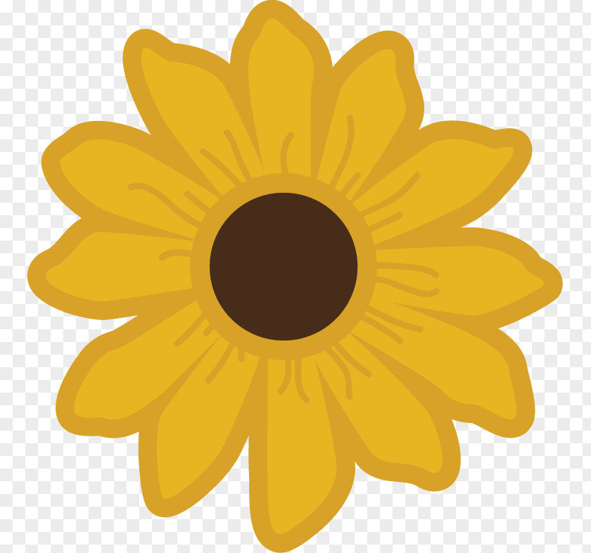 Sunflowers Common Sunflower Clip Art PNG