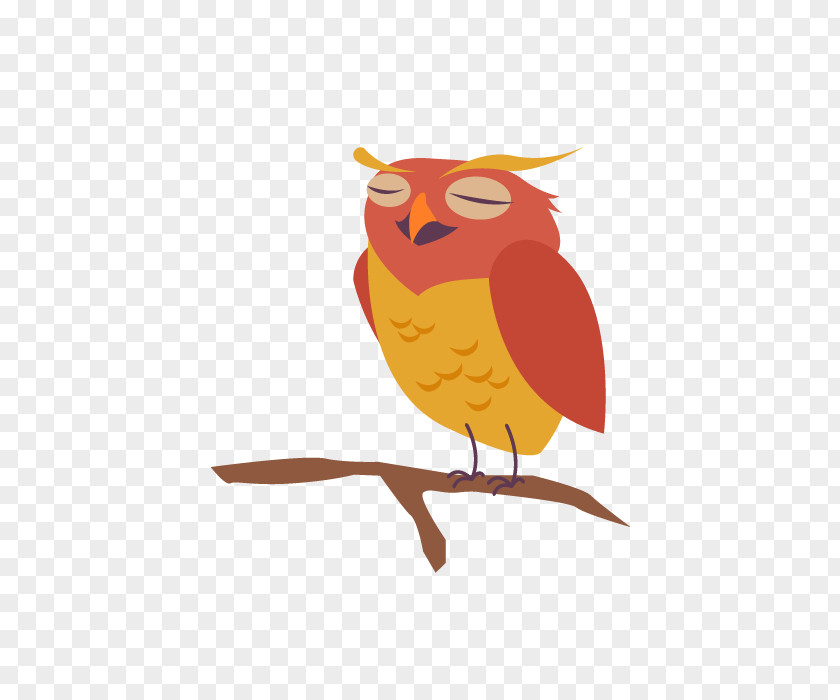 Vector Cartoon Bird Owl Clip Art PNG
