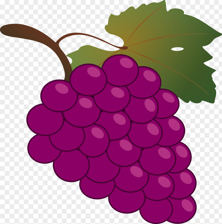 Bunch Of Grapes Common Grape Vine Wine Grappa Clip Art PNG