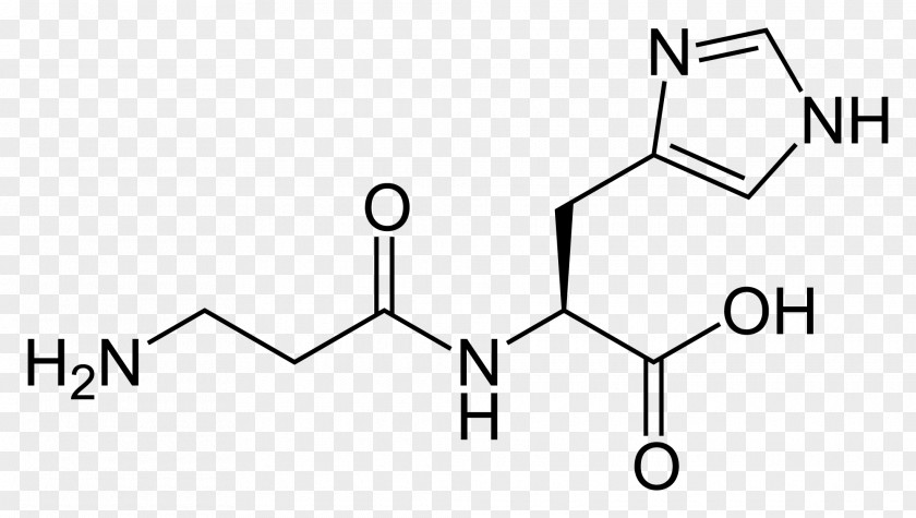 Carnosine Dietary Supplement Structure Histidine Amino Acid PNG