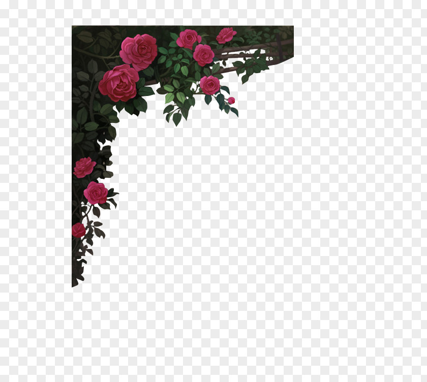 Mysterious Wine Red Roses Border Garden Rosé Picture Frame PNG