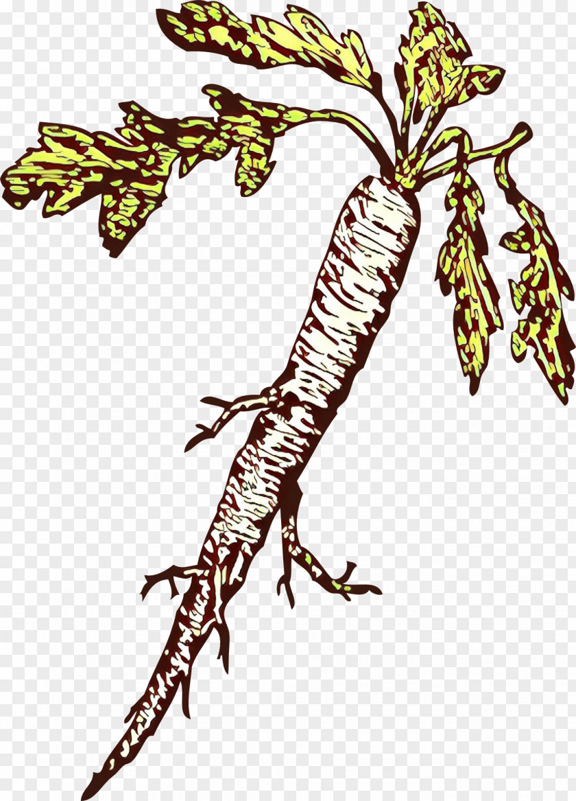 Plant Leaf Tree PNG