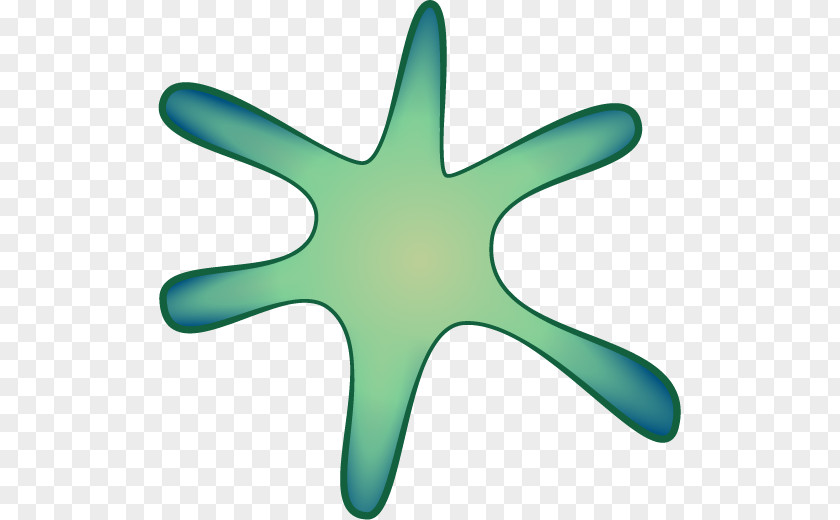 Starfish Reactome Echinoderm Biological Pathway PNG