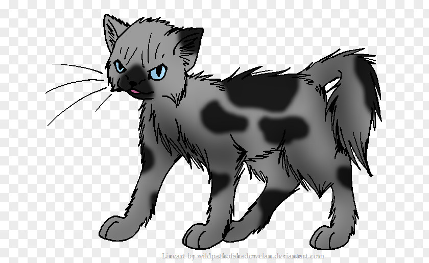 Thunder Manx Cat Kitten Warriors Wildcat Whiskers PNG