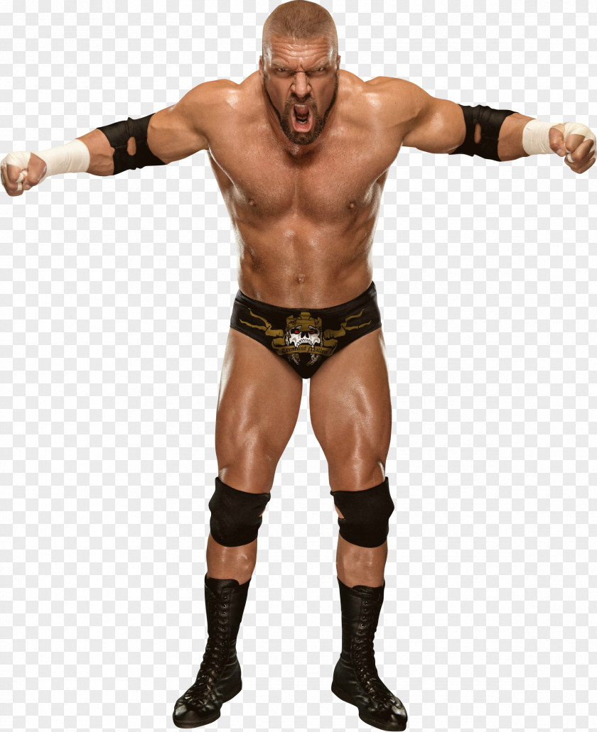 Triple H Transparent Image World Heavyweight Championship D-Generation X PNG