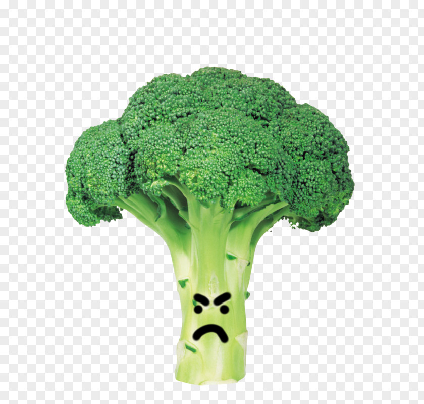 Broccoli Cabbage Vegetable Clip Art PNG