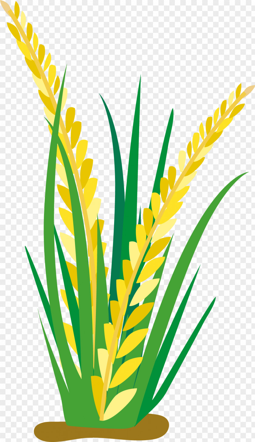 Cartoon Rice Ears Oat Clip Art PNG