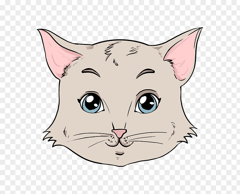 Cat Draw Cats Drawing Image PNG