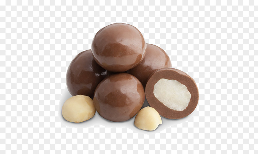 Chocolate Chocolate-covered Raisin White Macadamia Nut PNG