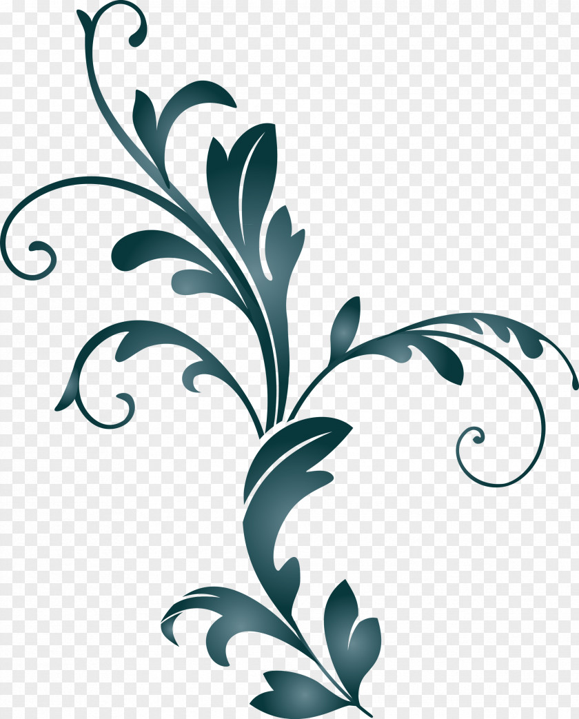 Decoration Frame Floral Flower PNG