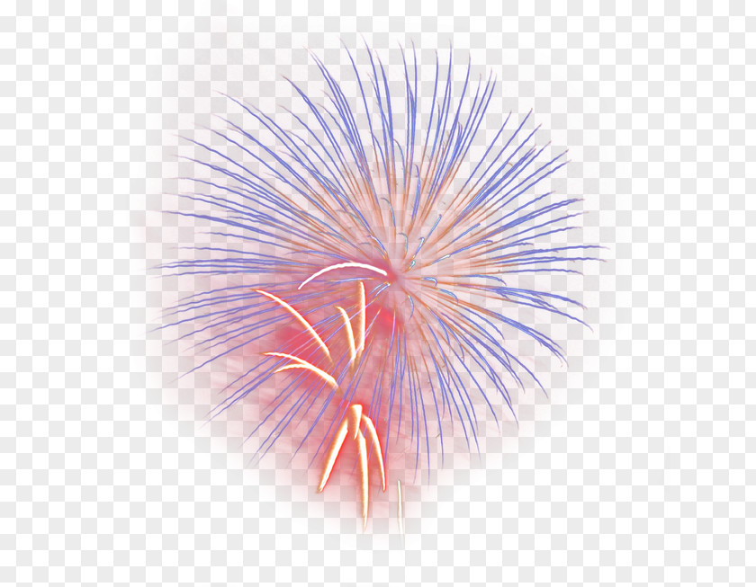 Fireworks HD Material Sky Petal Close-up Wallpaper PNG