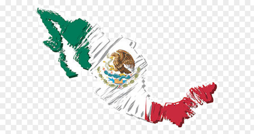 Flag Of Mexico Stock Photography PNG