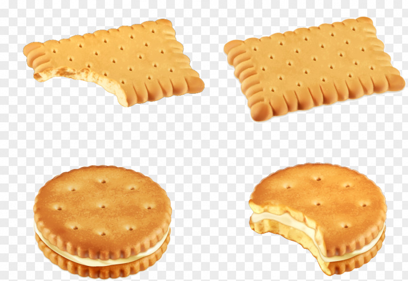 Biscuits Vector Material Biscuit Sandwich Cookie Clip Art PNG
