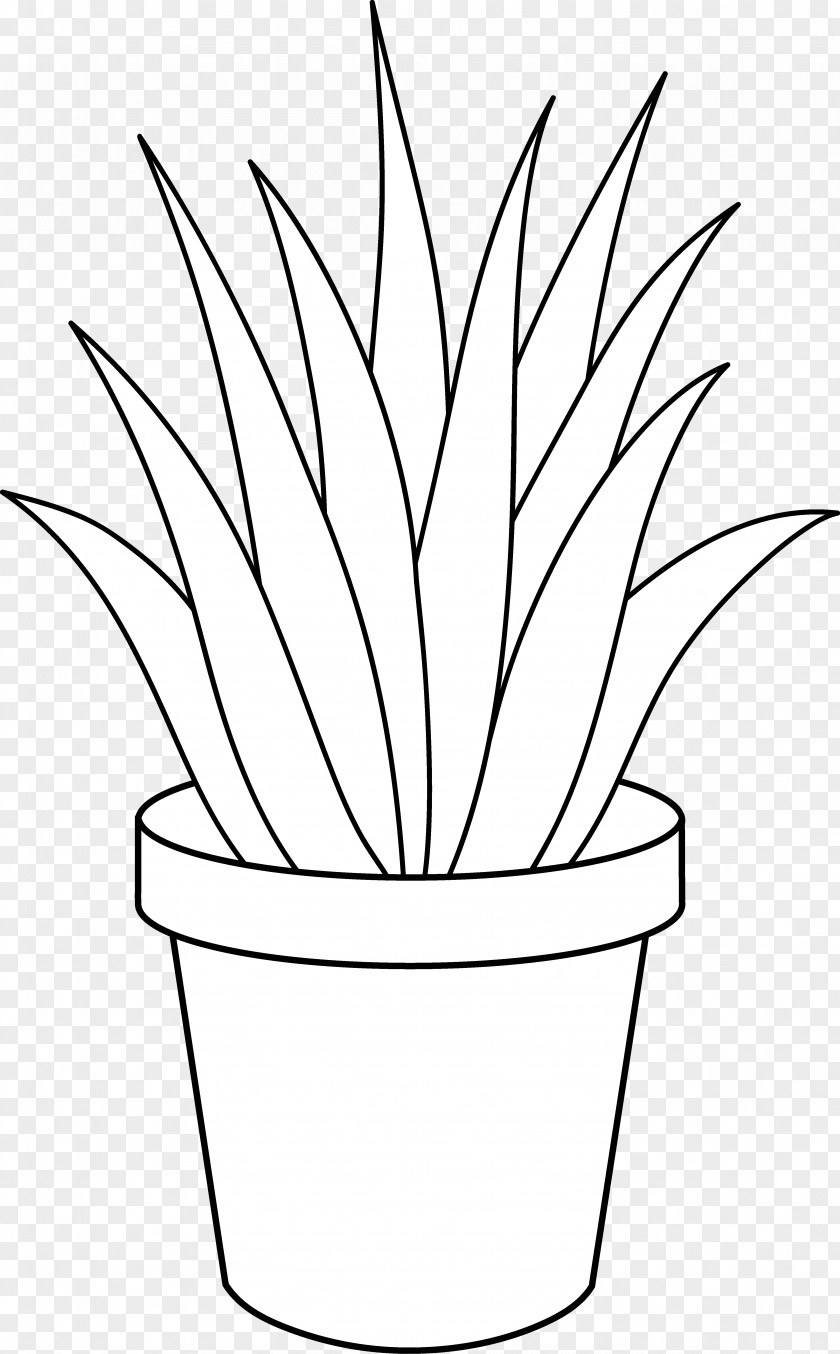 Black And White Plants Aloe Vera Houseplant Clip Art PNG