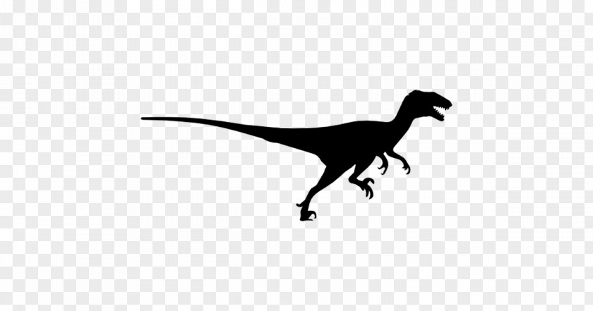 Dinosaur Velociraptor Tyrannosaurus Jewellery Black PNG