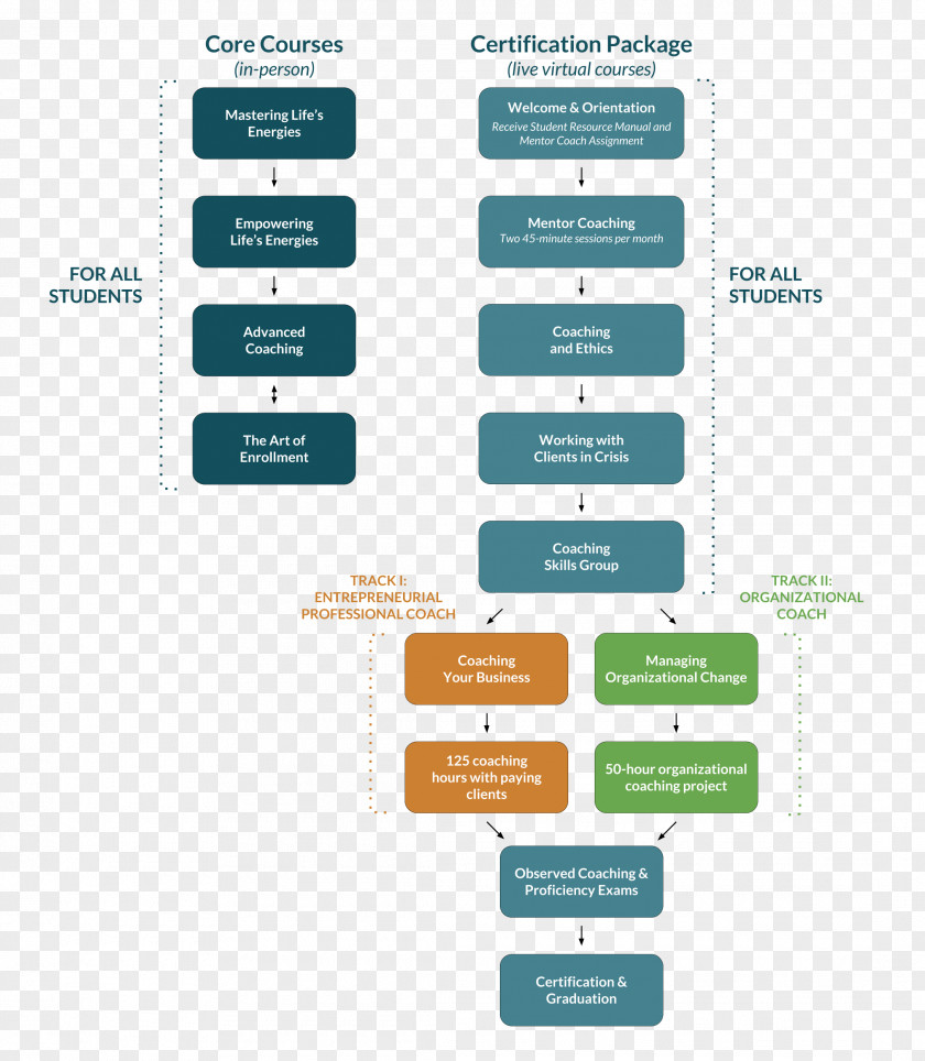 Flowchart Coaching Training Professional PNG