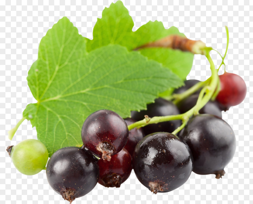 Juice Electronic Cigarette Aerosol And Liquid Berry Blackcurrant PNG
