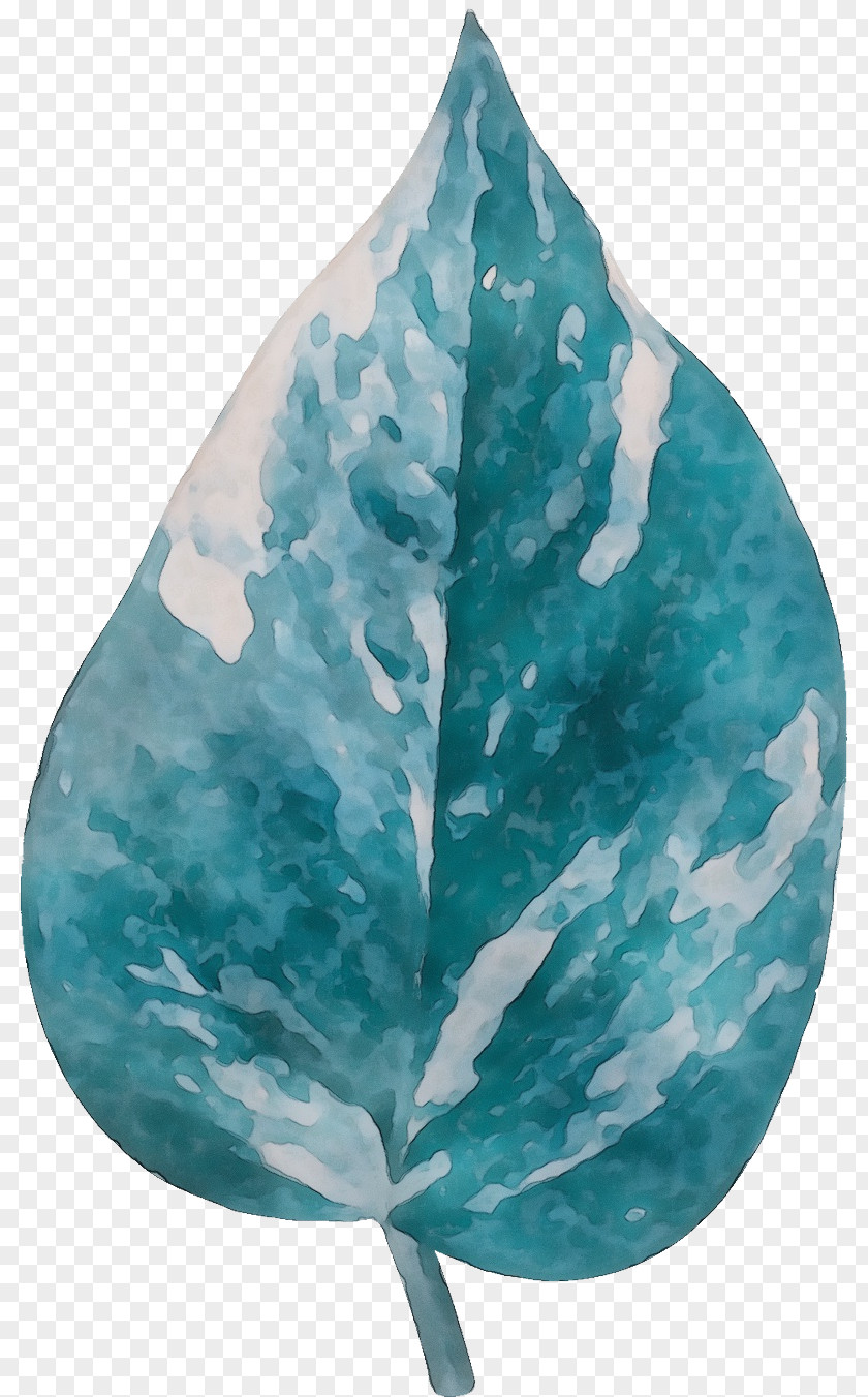 Leaf Turquoise Science Plant Structure Plants PNG