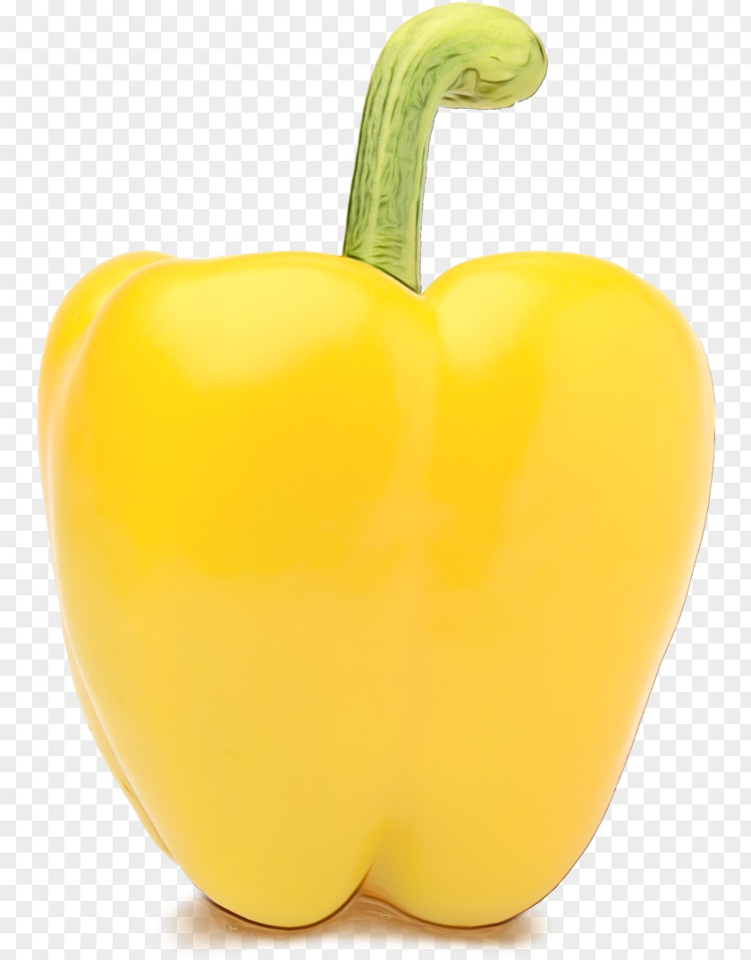 Paprika Plant Bell Pepper Yellow Pimiento Peppers And Chili Capsicum PNG