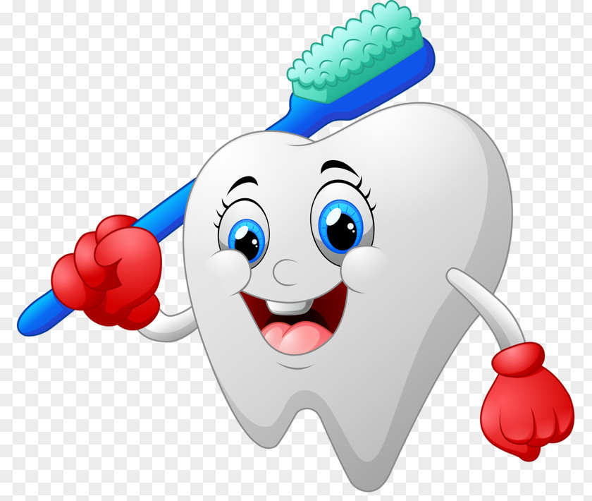 Teeth And Toothbrush Toothpaste Dentistry PNG