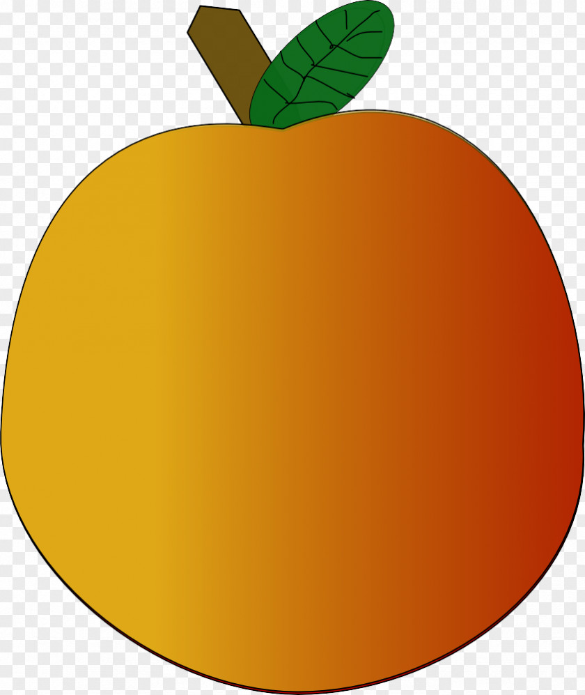 Tree Mcintosh Orange PNG