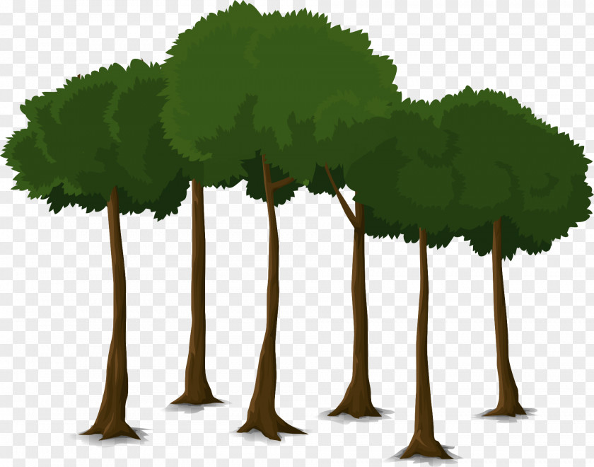 Tree Trunk Canopy Clip Art PNG