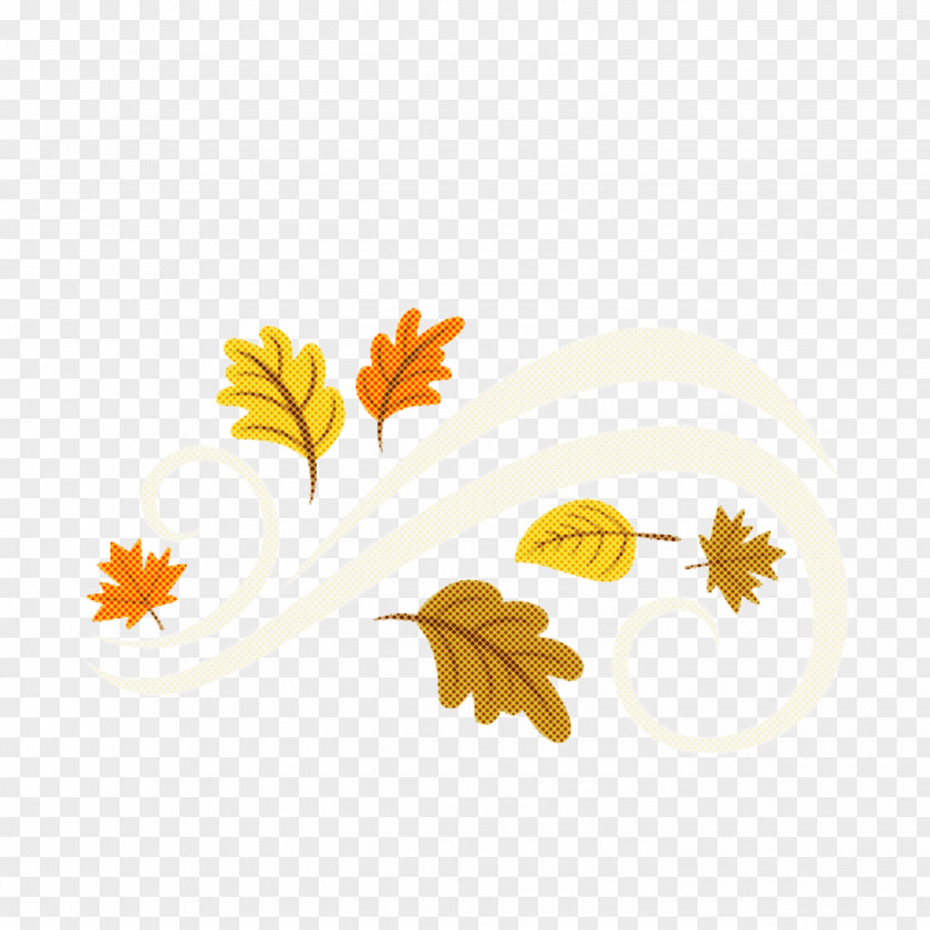 English Marigold Mayweed Transparency Autumn Leaf Film Design PNG