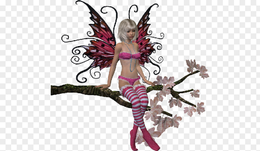Fairy Animaatio Elf Angel PNG