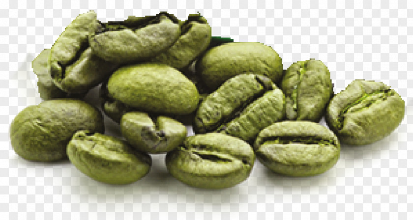 Green Coffee Bean Extract Energy Drink PNG