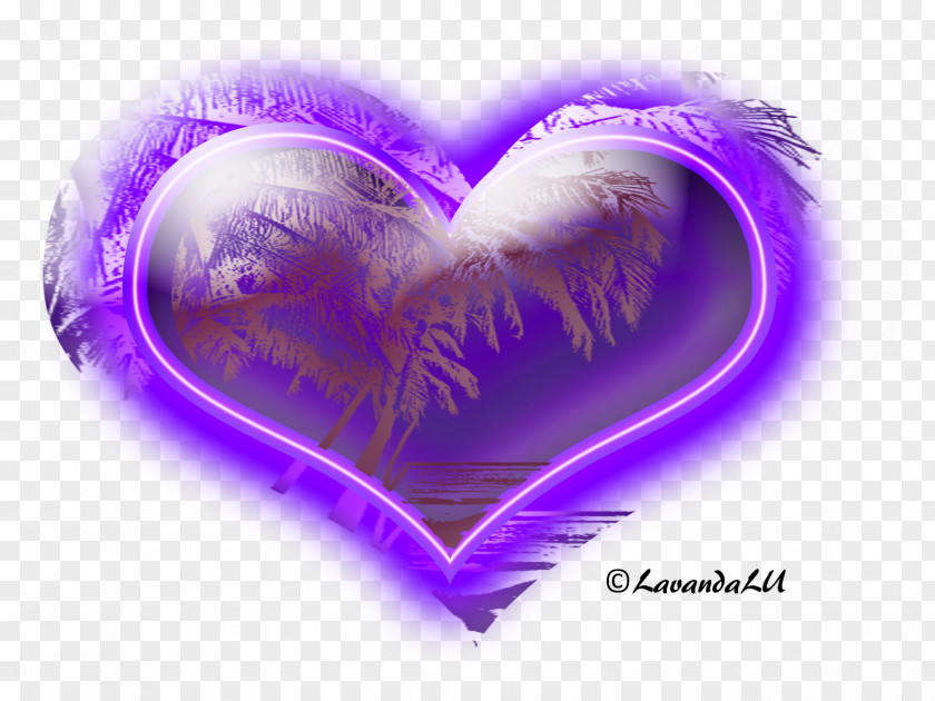 Lavanda Lavender Lilac Violet Purple Love PNG