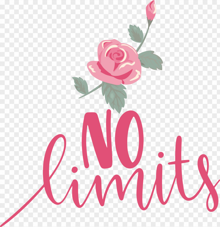 No Limits Dream Future PNG