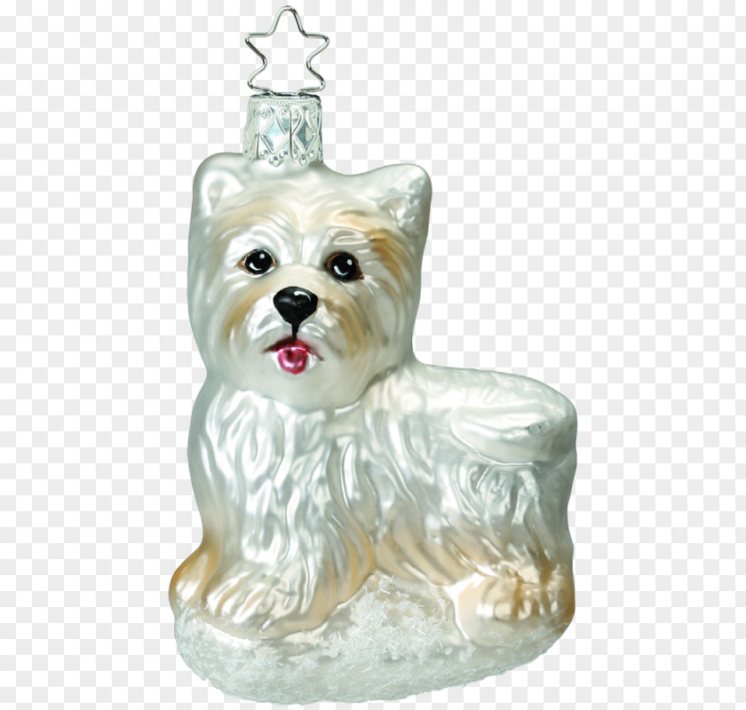 West Highland Terrier Yorkshire White Maltese Dog Cairn Scottish PNG