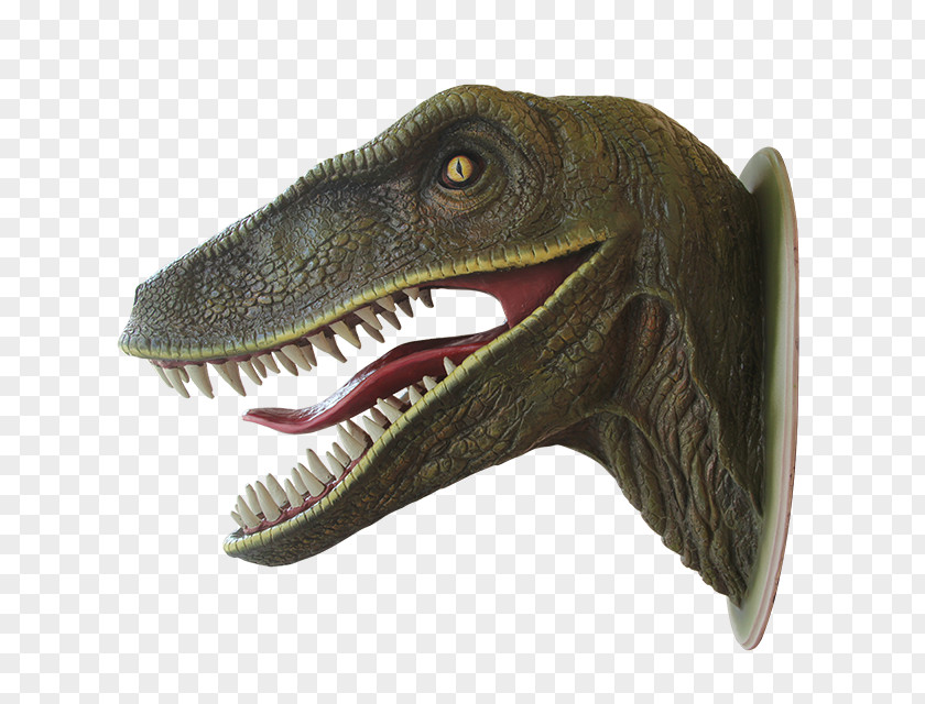 Dinosaur Tyrannosaurus World Velociraptor Bistahieversor PNG