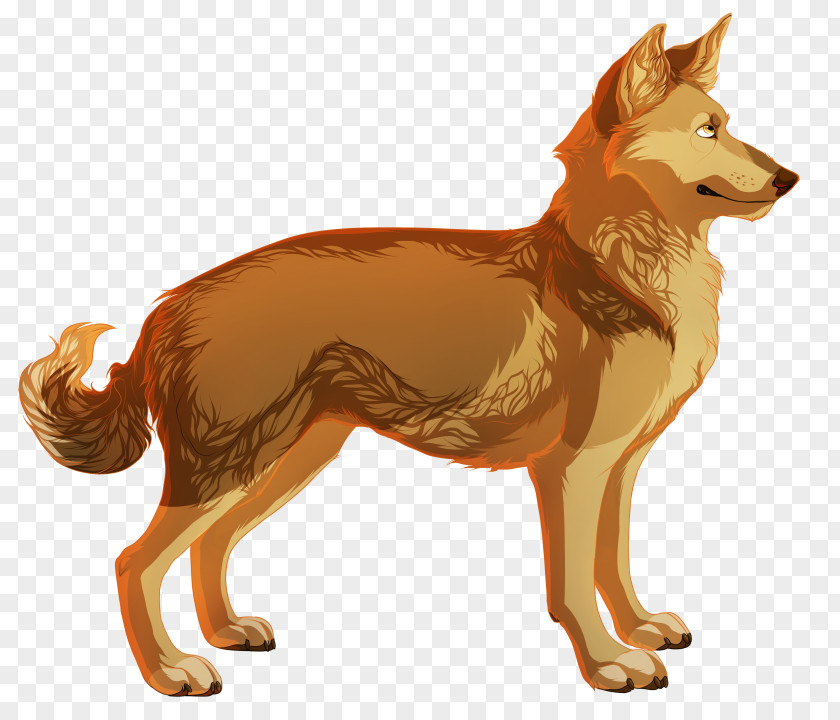 Doge Dhole Dingo Pit Bull Canidae Red Fox PNG